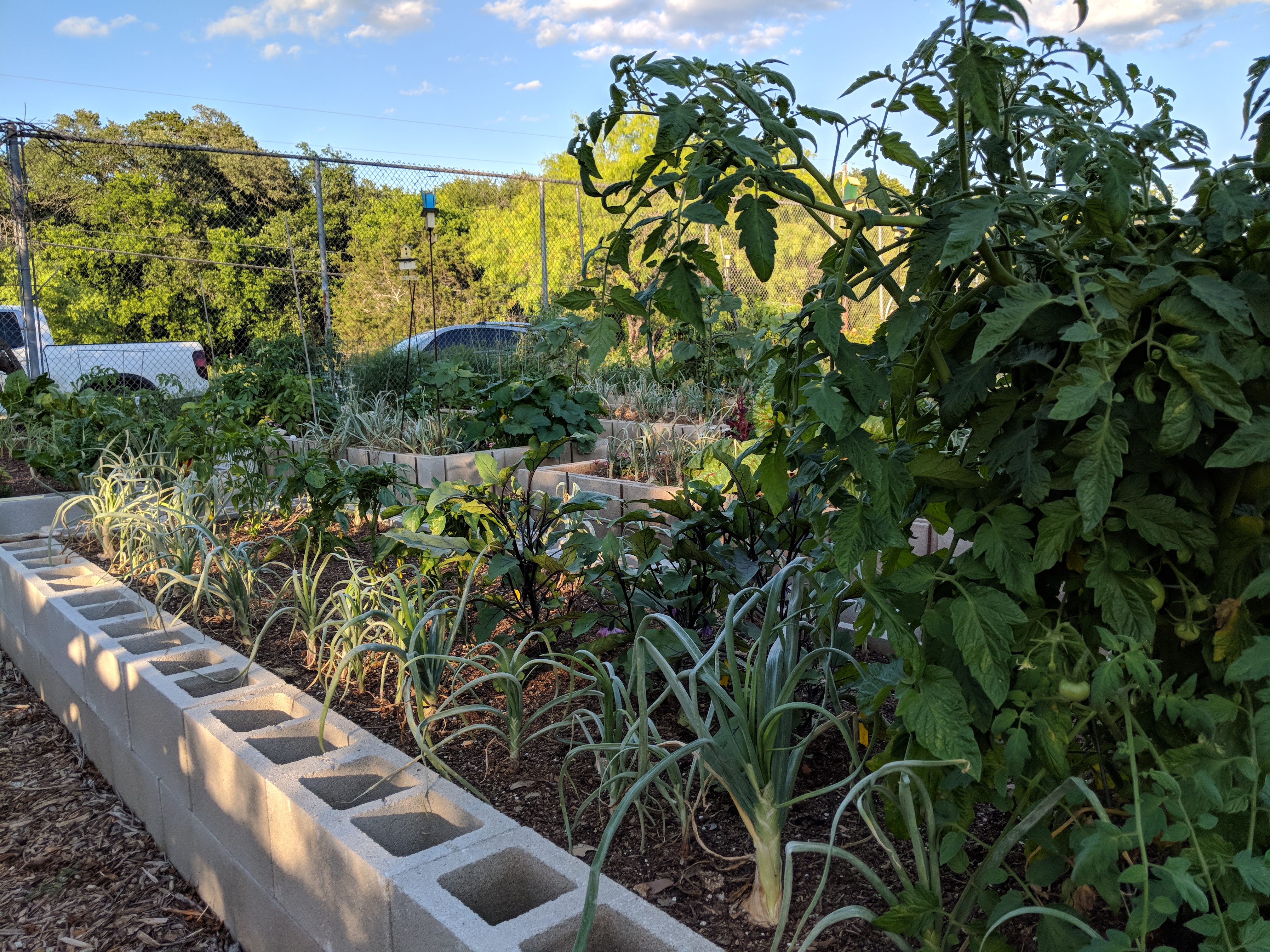 Tomatoes, Onions, and Eggplants in the JWCG