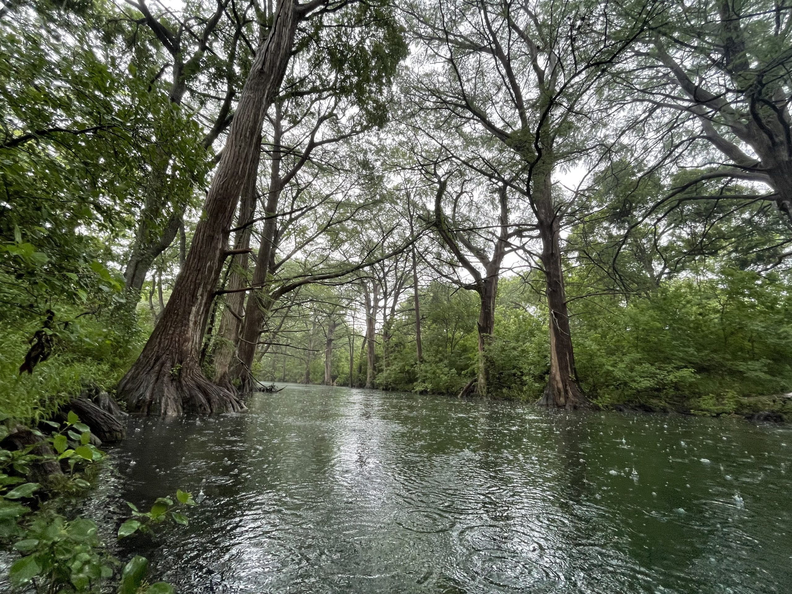 Springs provide baseflow to Hill Country creeks and rivers.
